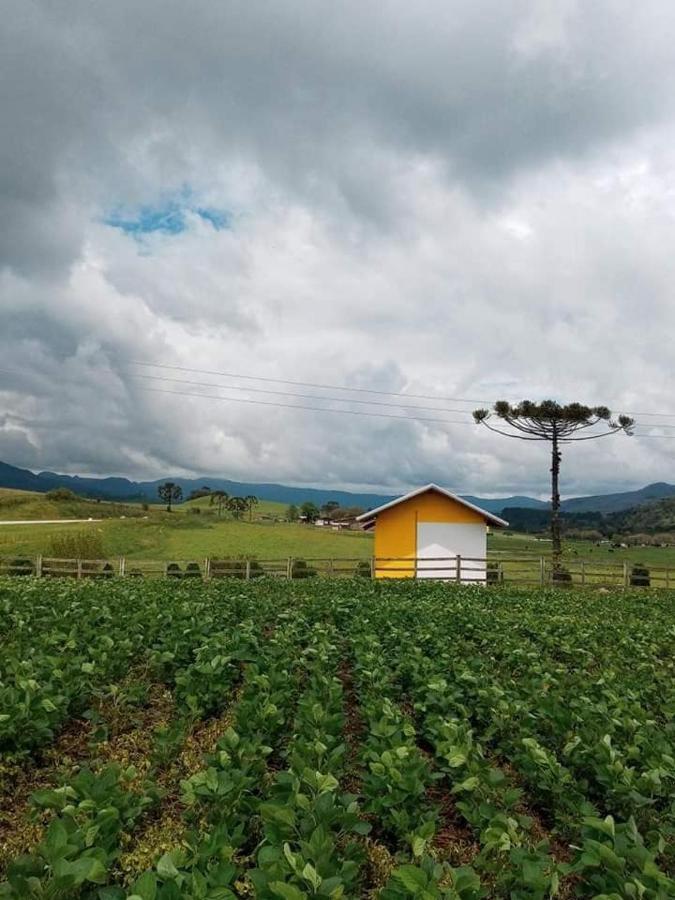 Cabana Caminho Das Borboletas Bom Retiro  Εξωτερικό φωτογραφία